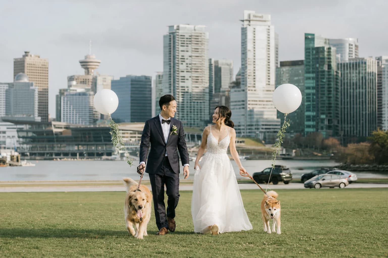 Bride and groom walking two dogs on the grass with the downtown Vancouver skyline behind